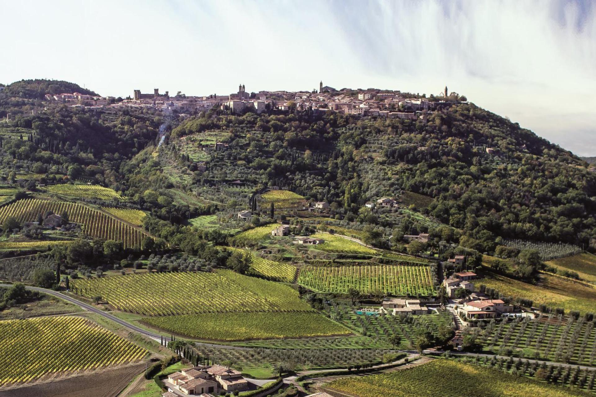 Luxus-Weingut nur 2 km von Montalcino